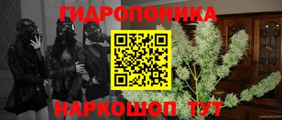 гидропоника Апшеронск