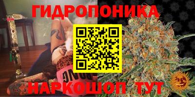 гидропоника Апшеронск